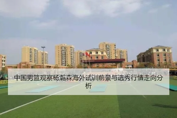 中国男篮观察杨瀚森海外试训前景与选秀行情走向分析