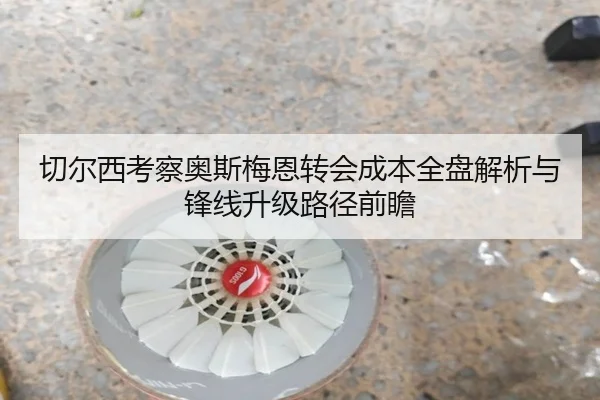 切尔西考察奥斯梅恩转会成本全盘解析与锋线升级路径前瞻