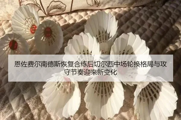 恩佐费尔南德斯恢复合练后切尔西中场轮换格局与攻守节奏迎来新变化